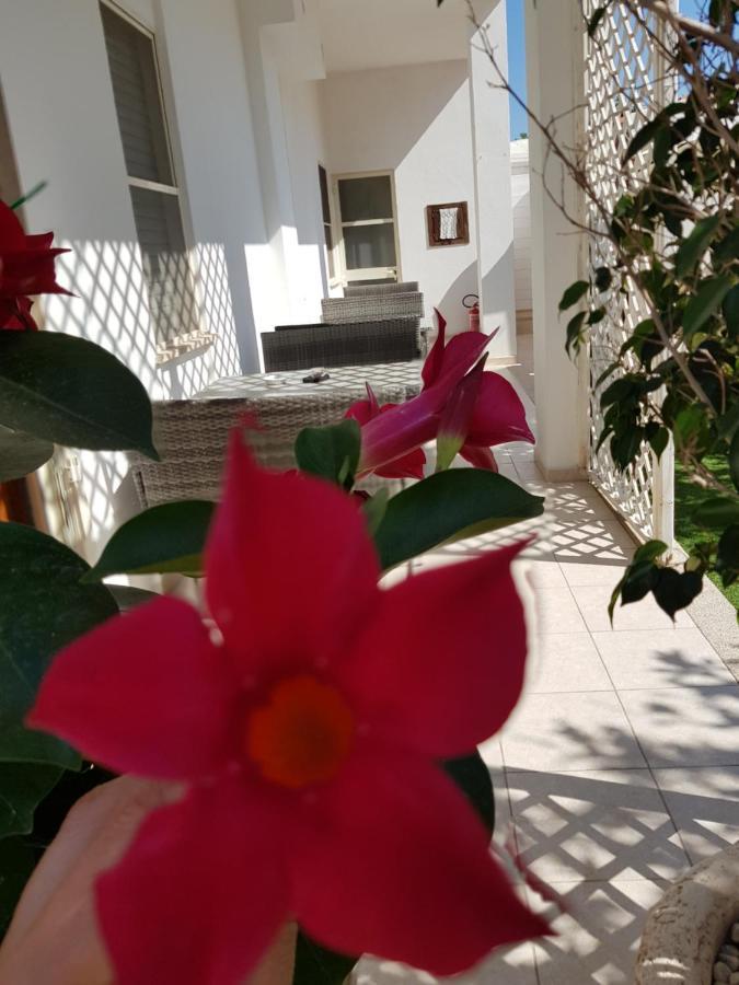 Zia Mia B&B Olbia Esterno foto