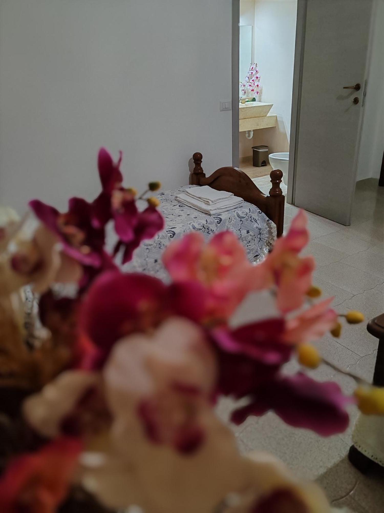 Zia Mia B&B Olbia Esterno foto
